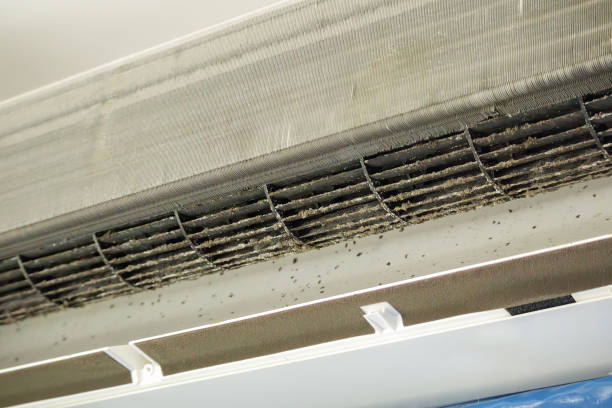 Best Home Air Vent Cleaning  in Lake Success, NY